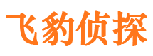 新源市调查取证